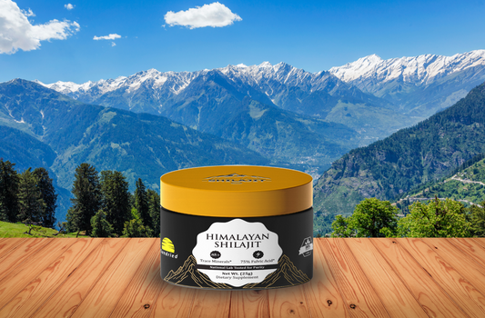 The Power of Himalayan Shilajit: Unlocking Nature’s Secret for Energy and Vitality