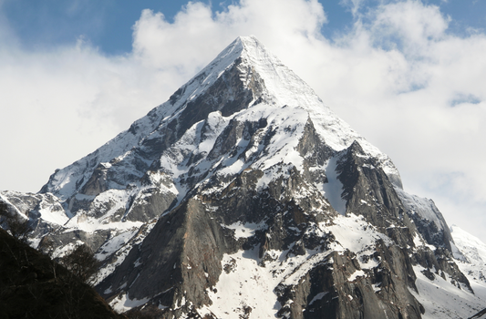 How Shilajit Supports Detoxification and Immune Health: A Natural Approach