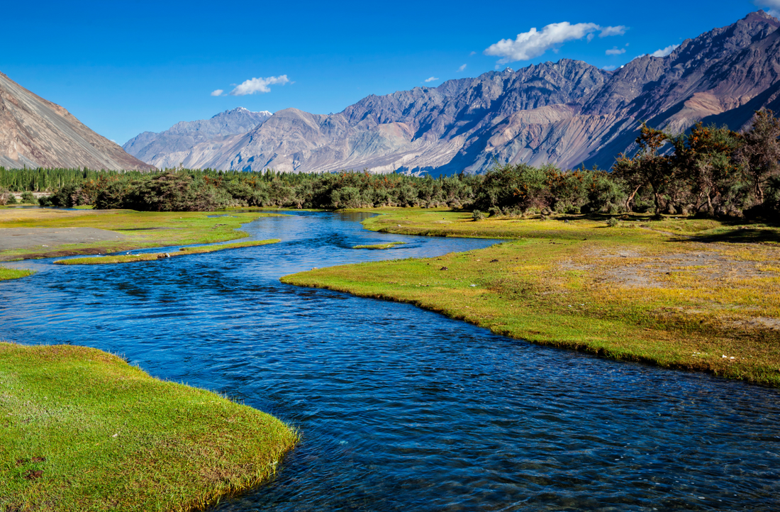 Why Organic, Lab-Tested Supplements Matter: The Truth Behind Shilajit Quality