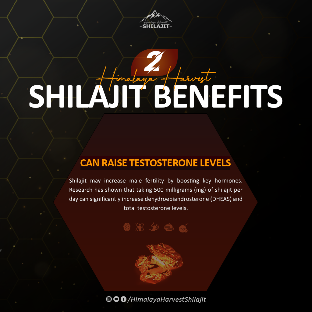 Pure Himalayan Shilajit Gold Resin, Grade | 85+ Trace Minerals & Fulvic Acid | 15g \