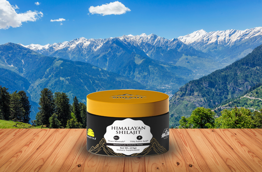 The Power of Himalayan Shilajit: Unlocking Nature’s Secret for Energy and Vitality