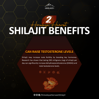 Pure Himalayan Shilajit Gold Resin, Grade | 85+ Trace Minerals & Fulvic Acid | 15g \