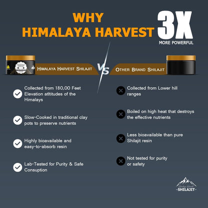 Pure Himalayan Shilajit Resin 25g | Organic, Lab-Tested | Energy Boost, Immune Support & Detox